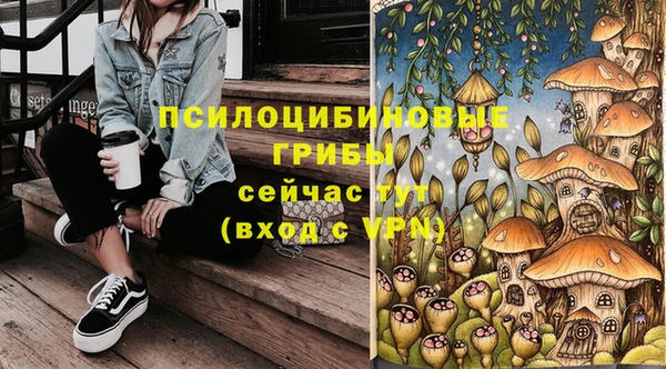 скорость mdpv Каменка