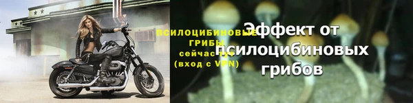 меф Карпинск