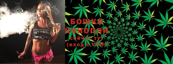 Альфа ПВП Касимов